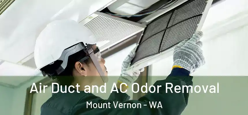 Air Duct and AC Odor Removal Mount Vernon - WA