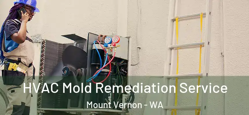  HVAC Mold Remediation Service Mount Vernon - WA