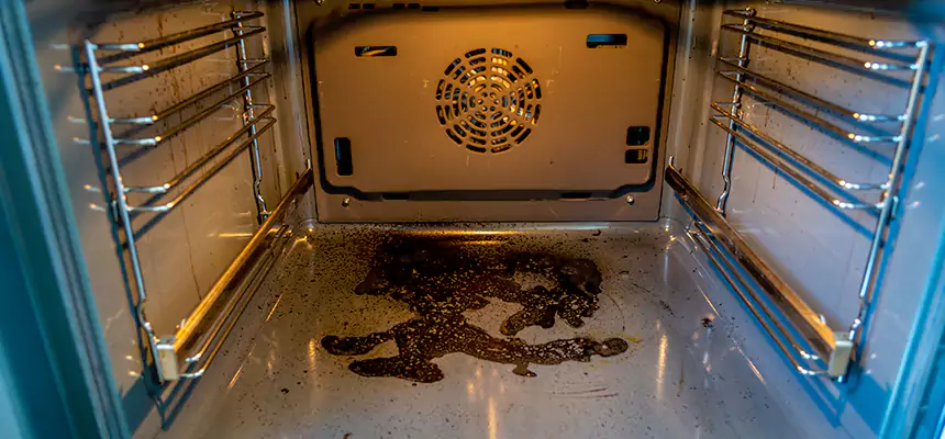 Our Dryer Vent Mold Cleaning Services in Mount Vernon, WA