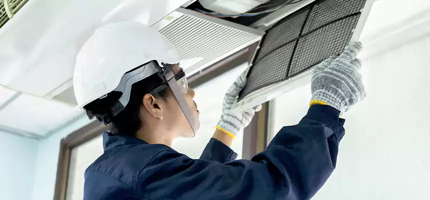 Our Mold & Mildew Removal from Air Ducts Services in Mount Vernon, WA