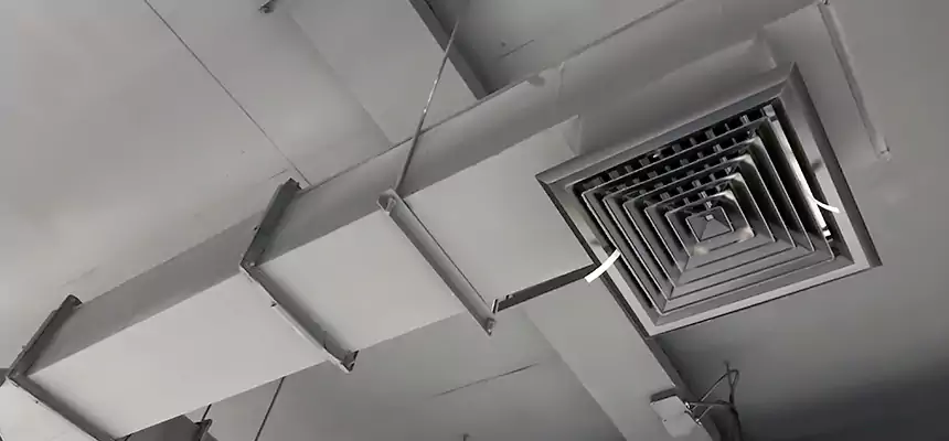 Our Rodent Droppings In Vents Services in Mount Vernon, WA