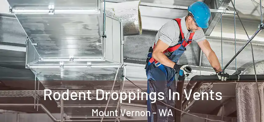 Rodent Droppings In Vents Mount Vernon - WA