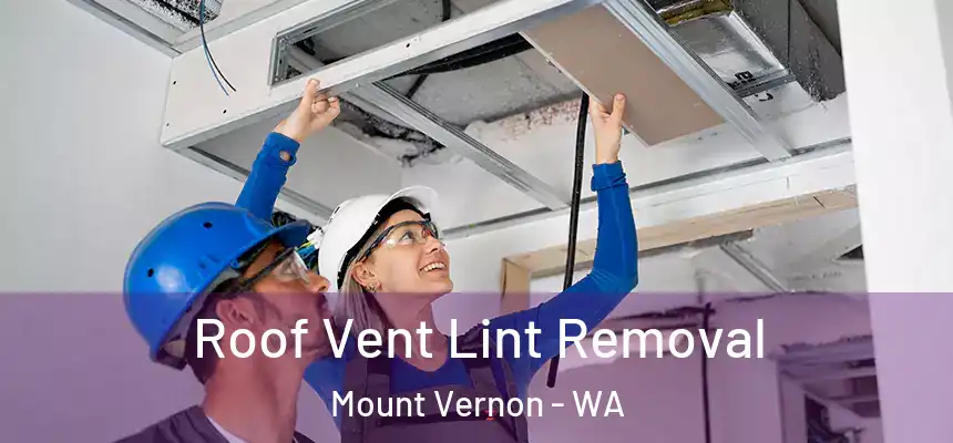  Roof Vent Lint Removal Mount Vernon - WA