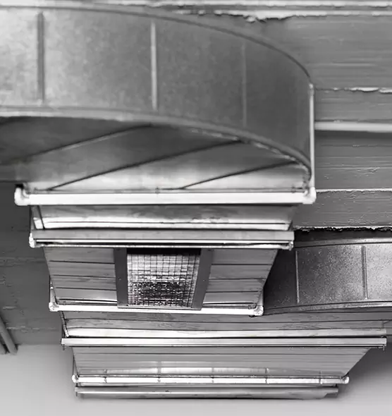 Professional Air Duct Pest Removal in Mount Vernon, WA