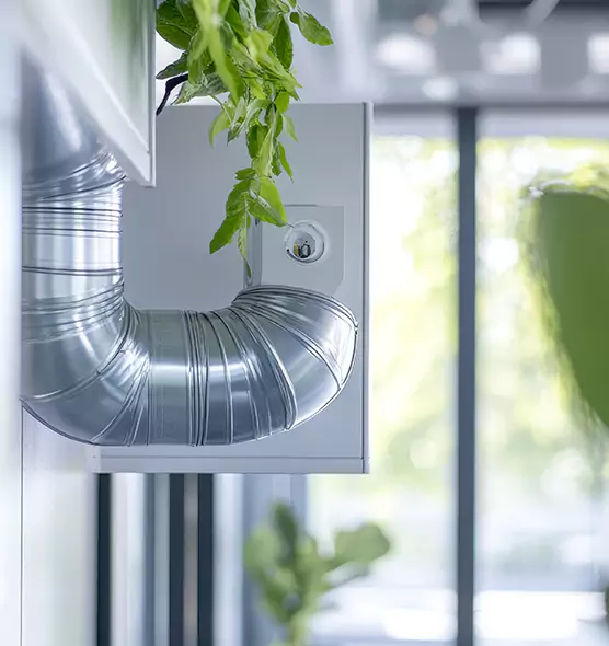 Professional Eco-Safe Dryer Vent Cleaning in Mount Vernon, WA