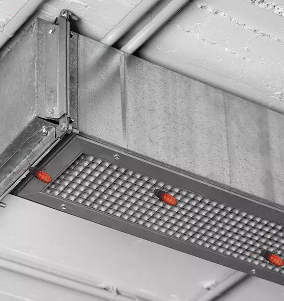Affordable Insect Removal from Air Ducts in Mount Vernon, WA