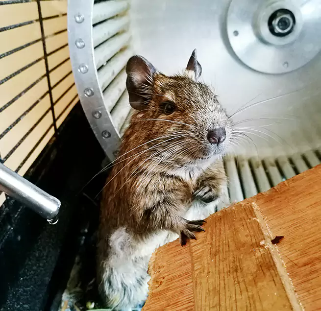 Why Homeowners & Businesses Trust Us Mount Vernon, WA?