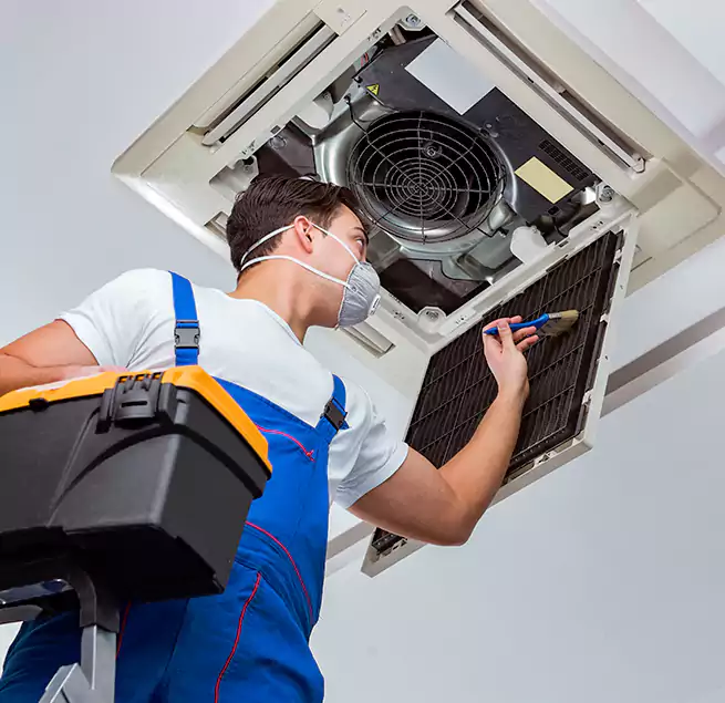 Why Homeowners & Businesses Trust Us in Mount Vernon, WA