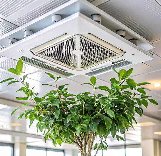 Why Homeowners & Businesses Trust Us in Mount Vernon, WA