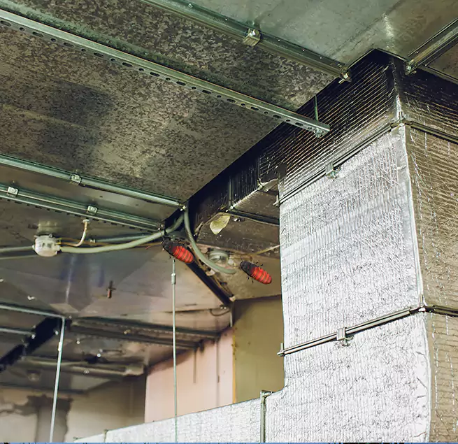 Why Homeowners & Businesses Trust Us Mount Vernon, WA?