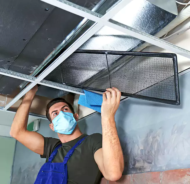 Why Homeowners Businesses Trust Us in Mount Vernon, WA